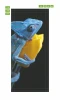 Chameleon door mural 145 - Graphic design featuring a chameleon holding a yellow flower with vivid details and colors.