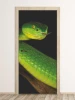 Door wallpaper featuring a green snake with yellow accents in a graphic design.