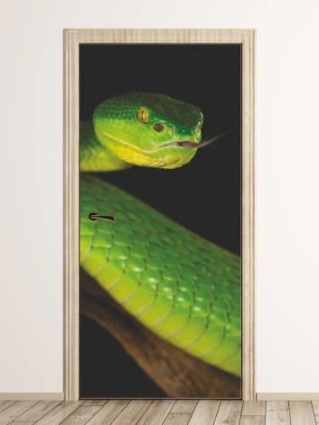 Door wallpaper featuring a green snake with yellow accents in a graphic design.
