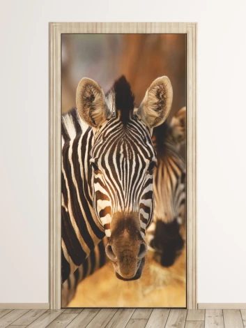Zebra door mural 136 - Graphic design featuring a close-up of a zebra\'s head with distinct stripes.