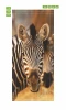 Zebra door mural 136 - Graphic design featuring a zebra\'s head with distinct black and white stripes.