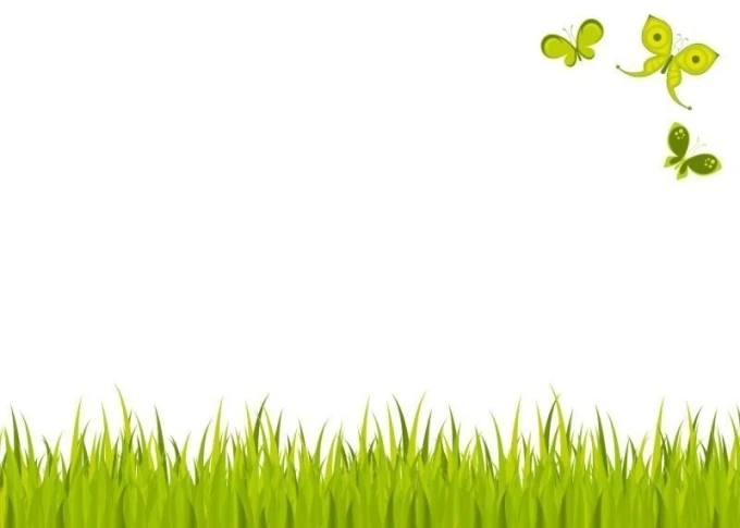 Magnetic whiteboard grass 01X 064 - Graphic design. Green grass with butterflies in shades of green on a white background.