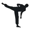 Sticker 03X 18 karate 1853 - Graphic design featuring a black karateka performing a kick.