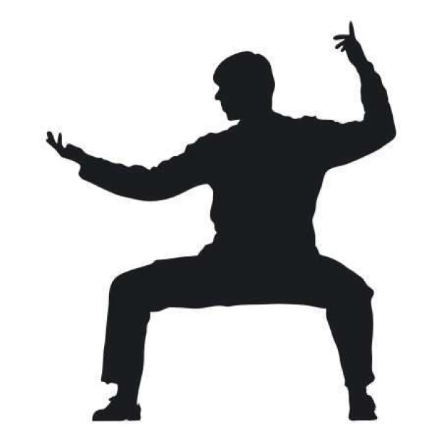Painting template 02X 04 karate 1867 - Graphic design. Figure in karate stance with raised hand and wide stance.