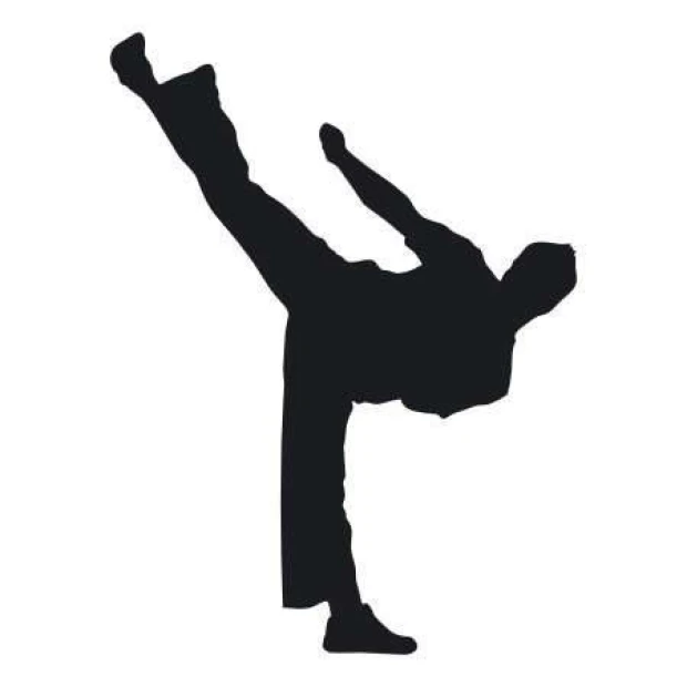 Painting template 02X 21 karate 1861 - Graphic design featuring a karate figure in a dynamic pose with a raised leg.