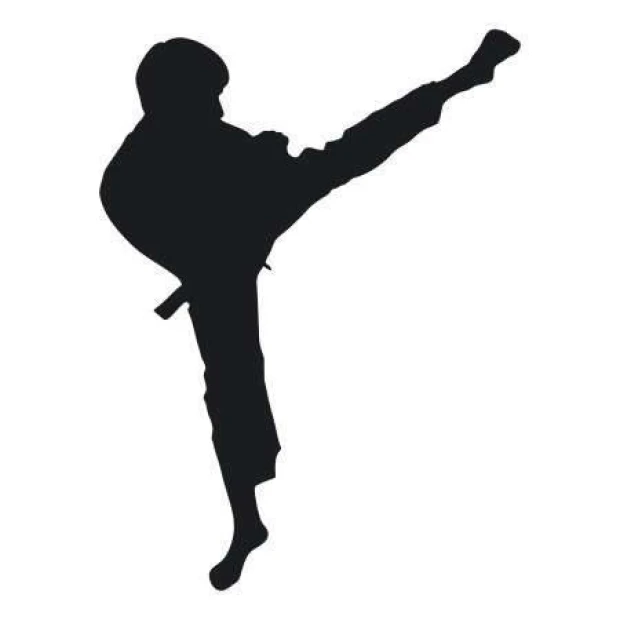 Painting template 02X 21 karate 1862 - Graphic design featuring a karate figure in a dynamic pose with raised leg and moving arms.