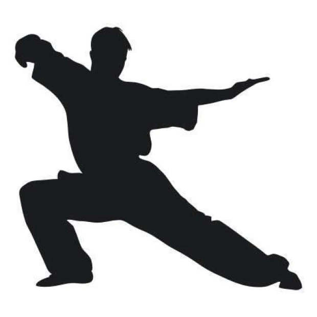 Sticker 03X 18 karate 1858 - Graphic design. Black karate figure in a dynamic pose on a white background.