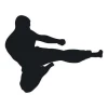 Sticker 03X 20 karate 1855 - Graphic design featuring a karateka silhouette in a dynamic pose with raised leg and clenched fist.