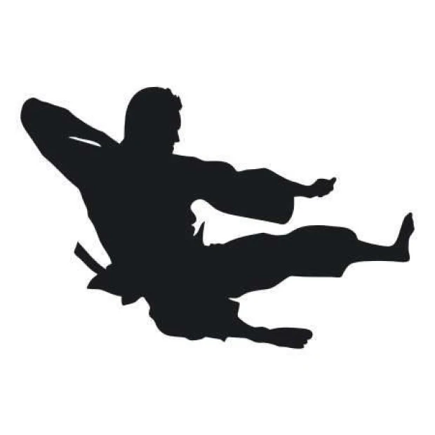 Sticker 03X 23 karate 1857 - Graphic design featuring a karateka in a dynamic pose, black on a white background.