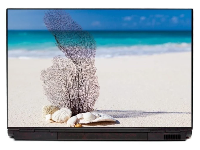 Print your own laptop sticker - Graphic design featuring a sea plant and shells against a beach background.