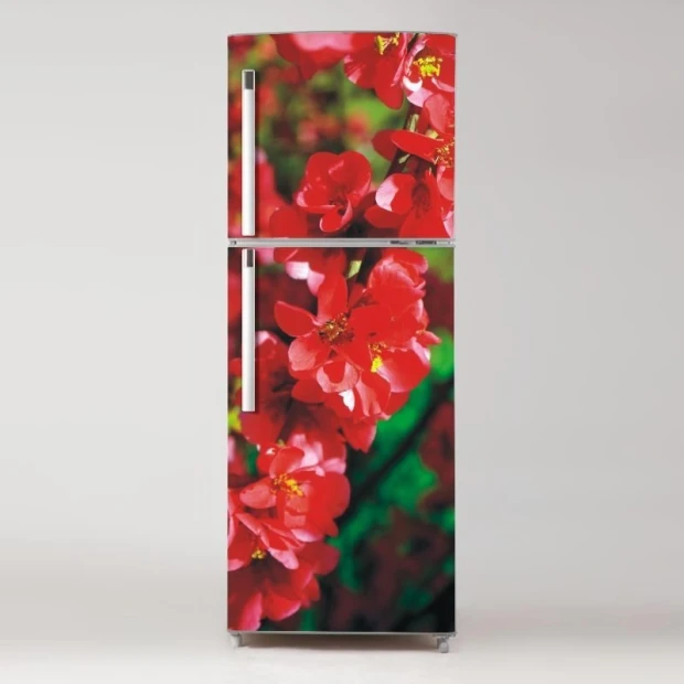 Fridge wrap sticker with red flowers on a green background, featuring a close-up of the details.