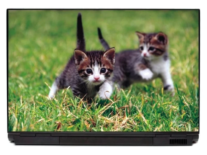 Laptop sticker cat P125 - Graphic design featuring two cats running on green grass with detailed fur textures.