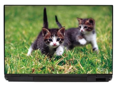 Laptop sticker cat P125 - Graphic design featuring two cats running on green grass with detailed fur textures.