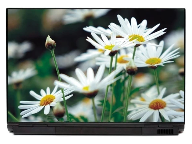 Laptop sticker P133 - Graphic design featuring white daisies on a green background with clear details of petals and stems.