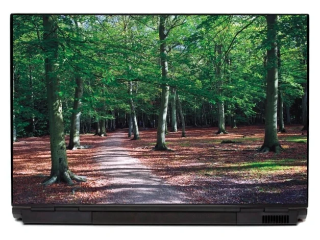 Beech forest laptop sticker P140 - Graphic design featuring a woodland path surrounded by trees and fallen leaves.