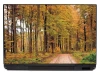 Laptop sticker Forest P139 - Graphic design featuring trees in shades of green and yellow, with a winding path through the woods.