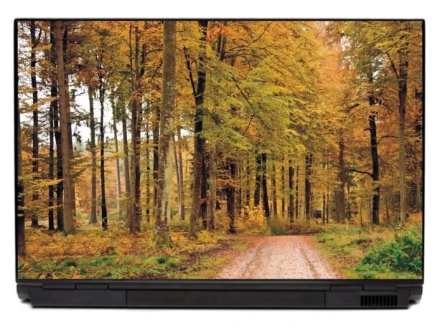 Laptop sticker Forest P139 - Graphic design featuring trees in shades of green and yellow, with a winding path through the woods.