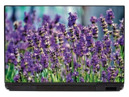 Lavender Laptop Sticker P150