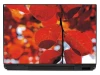 Laptop sticker P153 - Graphic design. Red leaves on a blurred sky background.