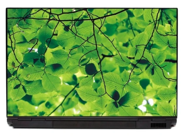 Laptop sticker P154 - Graphic design. Green leaves in a dense arrangement with delicate branches.