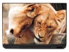 Lion laptop sticker P101 - Graphic design featuring two lions cuddling, their fur in shades of beige and brown.