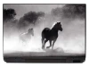 Laptop sticker of galloping horses P157 - Graphic design featuring two horses in motion, surrounded by dust clouds in black and white.