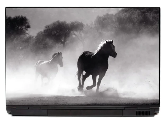 Laptop sticker of galloping horses P157 - Graphic design featuring two horses in motion, surrounded by dust clouds in black and white.