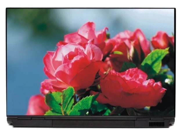 Laptop sticker roses P158 - Graphic design featuring pink roses with green leaves against a sky background.