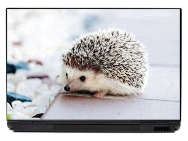 Hedgehog laptop sticker P215 - Graphic design with a hedgehog on a light background, featuring distinct spines and small paws.