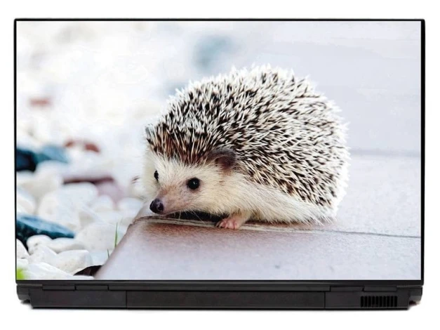 Hedgehog laptop sticker P215 - Graphic design with a hedgehog on a light background, featuring distinct spines and small paws.