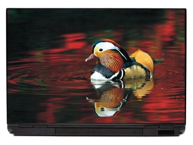 Laptop sticker duck P208 - Graphic design. Duck on water with reflection, surrounded by red and green colors.