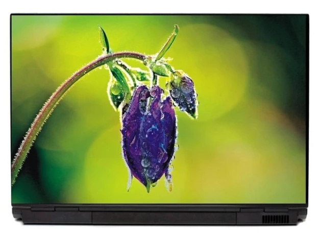 Laptop sticker flower P196 - Graphic design. Purple flower with water droplets on a green background.