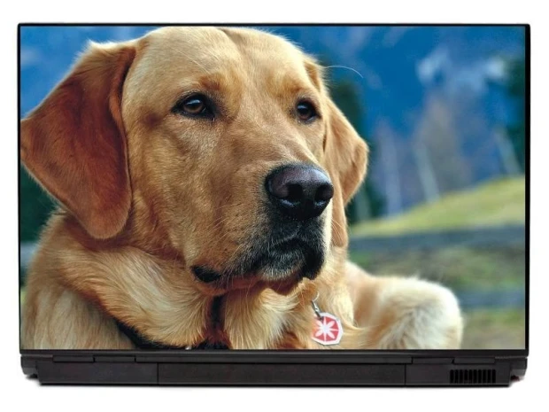Laptop sticker dog P188 - Graphic design featuring a brown-furred dog with an intense gaze.