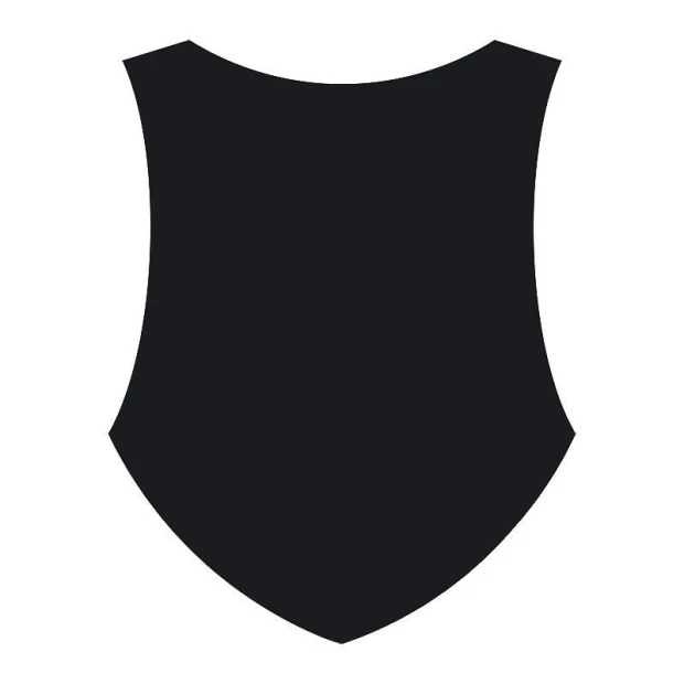 Chalkboard sticker shield 127 - Graphic design. Shield shape with a smooth, pattern-free surface.