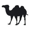 Chalk sticker camel 140 - Graphic design featuring a black camel in profile.