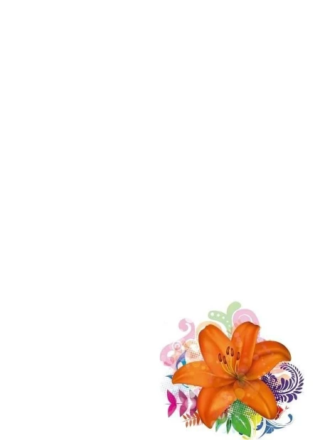 Dry-erase board 01X 098 hibiscus flower - Graphic design featuring an orange flower with colorful accents.