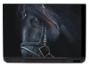 Black horse laptop sticker P251 - Graphic design featuring a black horse with visible mane and eyes.