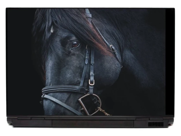Black horse laptop sticker P251 - Graphic design featuring a black horse with visible mane and eyes.