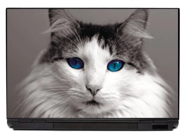 Laptop sticker cat P314 - Graphic design. White-furred cat with blue eyes on a gray background.