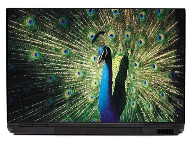 Laptop sticker peacock P321 - Graphic design. Peacock with spread tail in vibrant colors on a background.