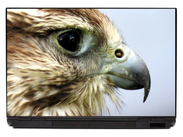 Laptop sticker bird P294 - Graphic design featuring a detailed image of a bird with a clear eye and beak.