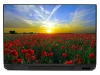 Sunset laptop sticker with poppies P328 - Graphic design featuring vibrant red poppies against a backdrop.