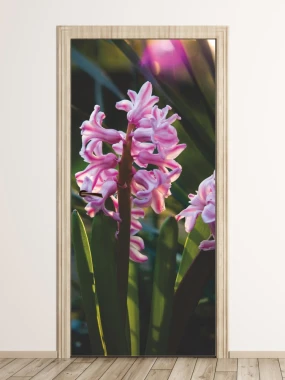 Hyacinth door mural P44 - Graphic design. Pink hyacinth flowers against a backdrop of green leaves.