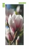 Magnolia door wallpaper P45 - Graphic design featuring pink and white magnolia flowers against green leaves.