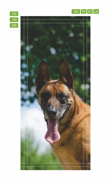Door mural featuring a smiling Malinois dog in a graphic design.