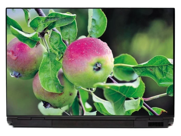 Laptop sticker featuring apple design with three apples on a branch and green leaves, water flowing down.