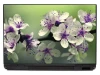 Laptop sticker P410 - Graphic design featuring orchid flowers in shades of white and purple on a dark background.