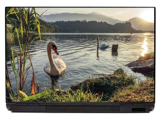 Laptop sticker featuring swans on a lake, set in a natural environment with water, grass, and mountains in the background.