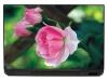 Laptop sticker rose P413 - Graphic design. Pink rose with green leaves on a blurred background.