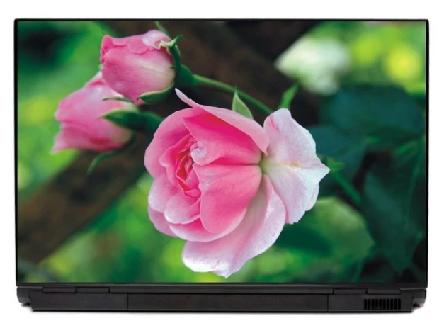 Laptop sticker rose P413 - Graphic design. Pink rose with green leaves on a blurred background.